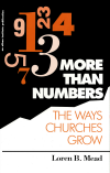 Loren B. Mead - More Than Numbers
