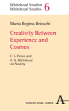 Maria Regina Brioschi - Creativity Between Experience and Cosmos