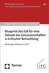 Sascha Mölls, Hans-H. Münkner - Blueprint des IGB für eine Dekade der Genossenschaften in kritischer Betrachtung