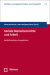 Minou Banafsche, Hans-Wolfgang Platzer - Soziale Menschenrechte und Arbeit