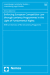 Emma Salemme - Enforcing European Competition Law through Leniency Programmes in the Light of Fundamental Rights
