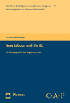 Susanne Wanninger - New Labour und die EU
